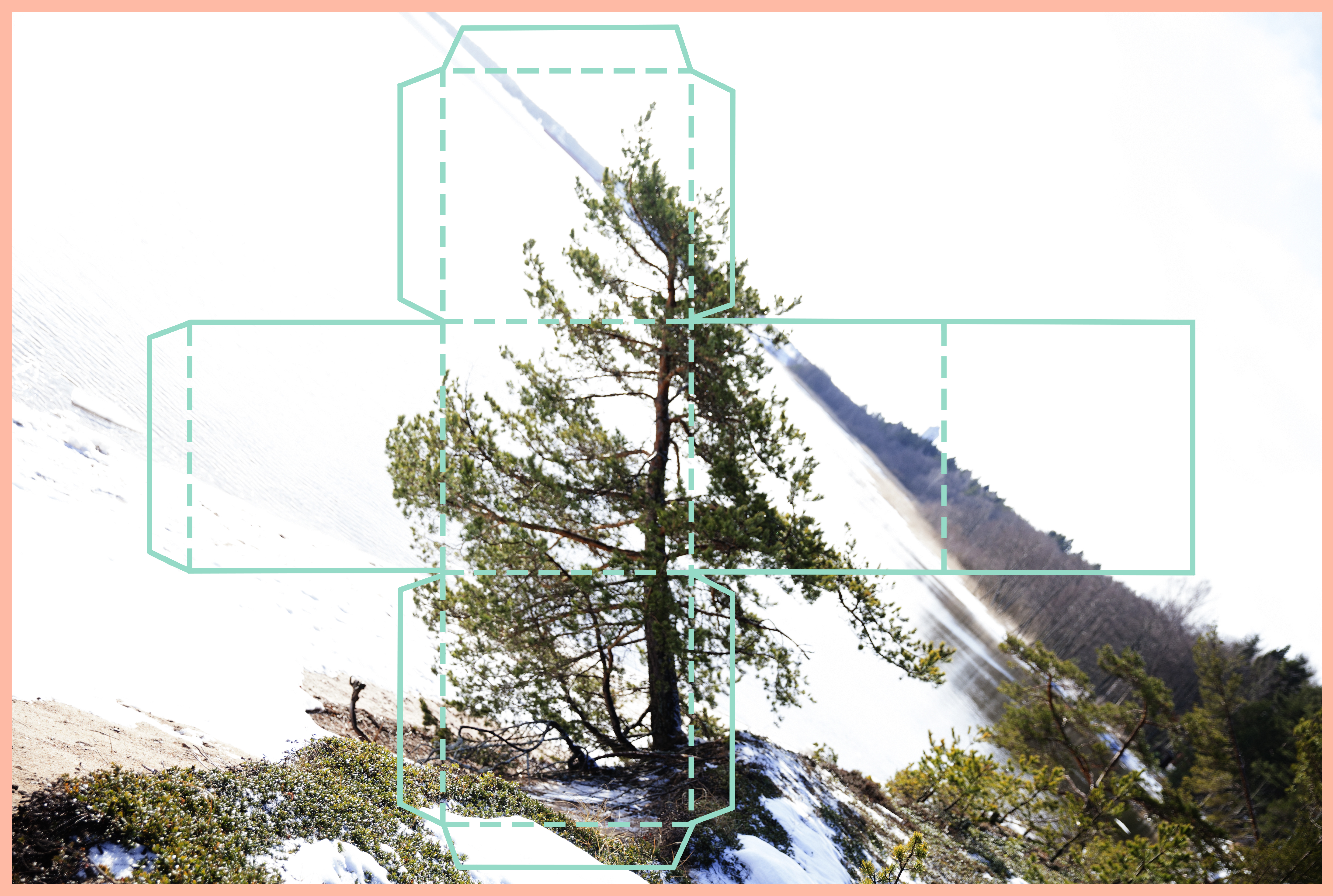 Inter-floral Mint Box promo picture Kristian Palmu.jpg